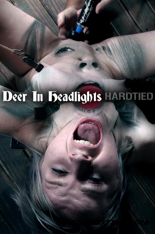 Oct 11, 2017: Deer In Headlights With Bambi Belle (2017/HD) [HardTied]